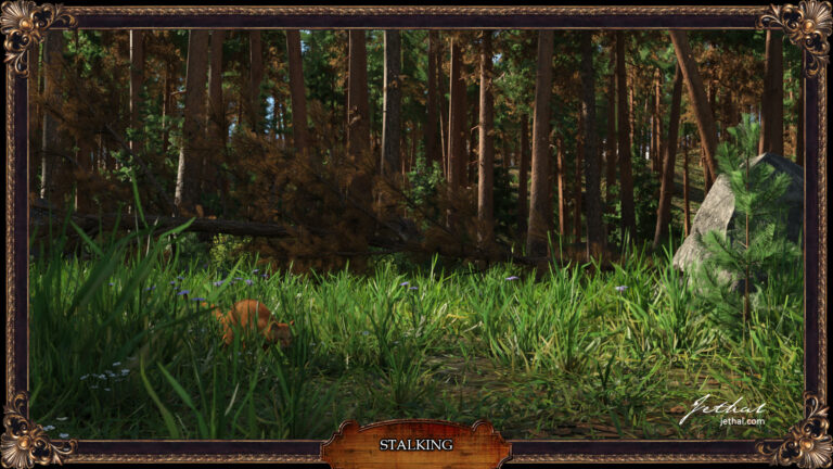 FOREST STALKING