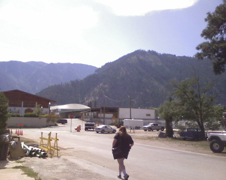 IMAGE 012